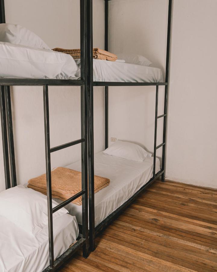 Wild Monkey Hostel Куэнка Экстерьер фото